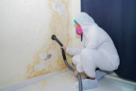 Best Emergency Mold Remediation  in Ellington, MO